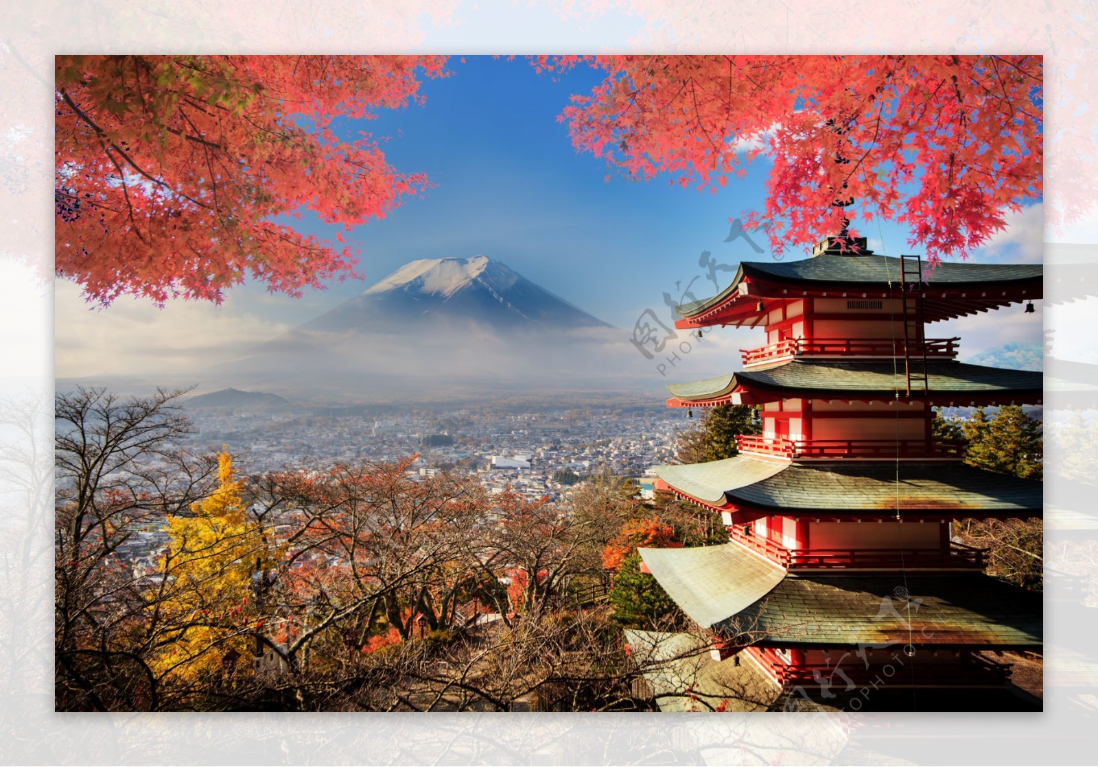 日本樱花图片漂亮美景电脑桌面壁纸-壁纸图片大全