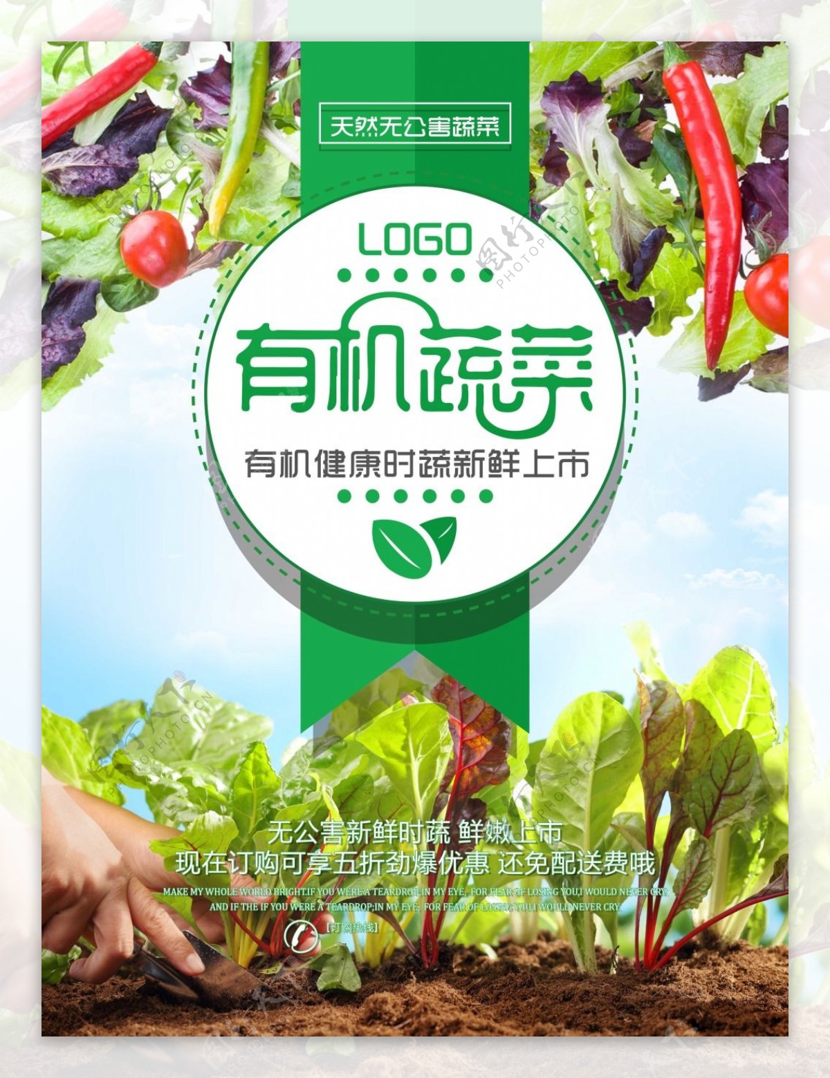 无公害有机蔬菜新鲜上市海报
