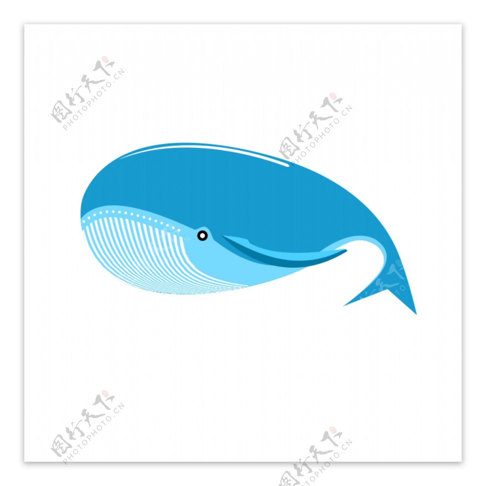 蓝色的鲸鱼
