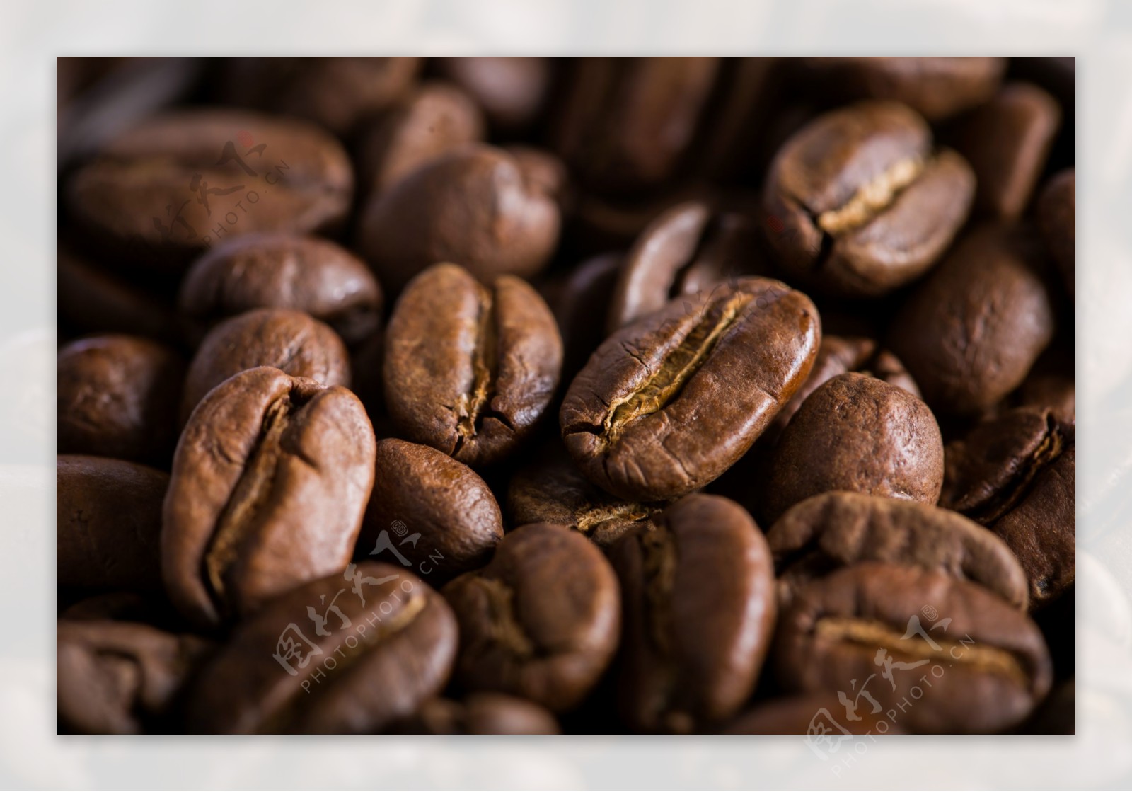 咖啡豆细节实拍图图片