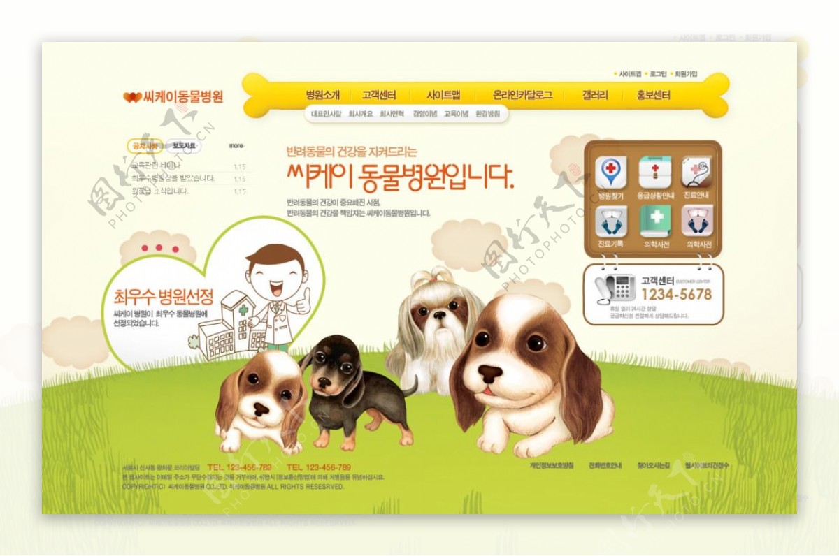 韩国宠物狗狗类网页设计