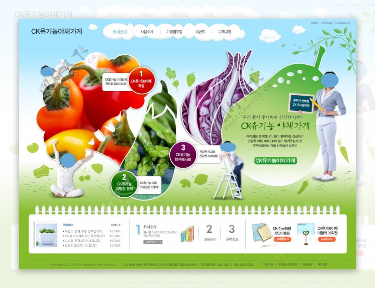 韩国绿色营养师网页PSD模板