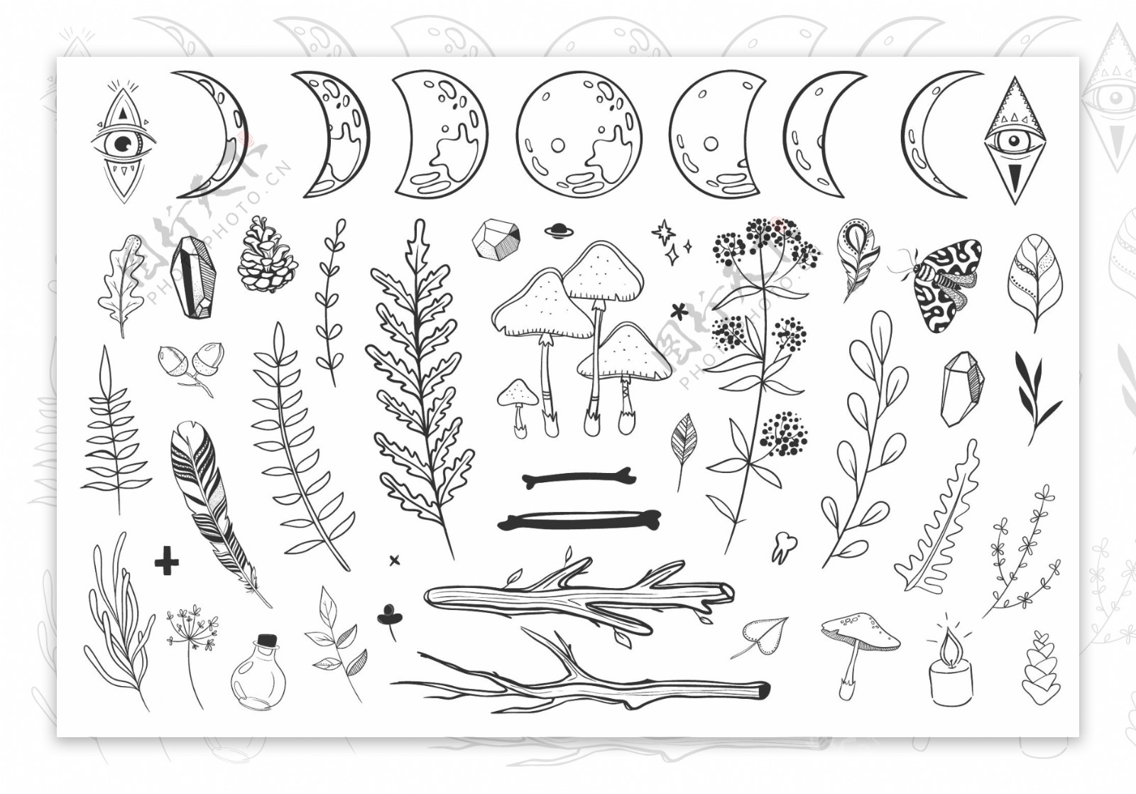 月亮手绘羽毛宝石树枝图案PNG与矢量