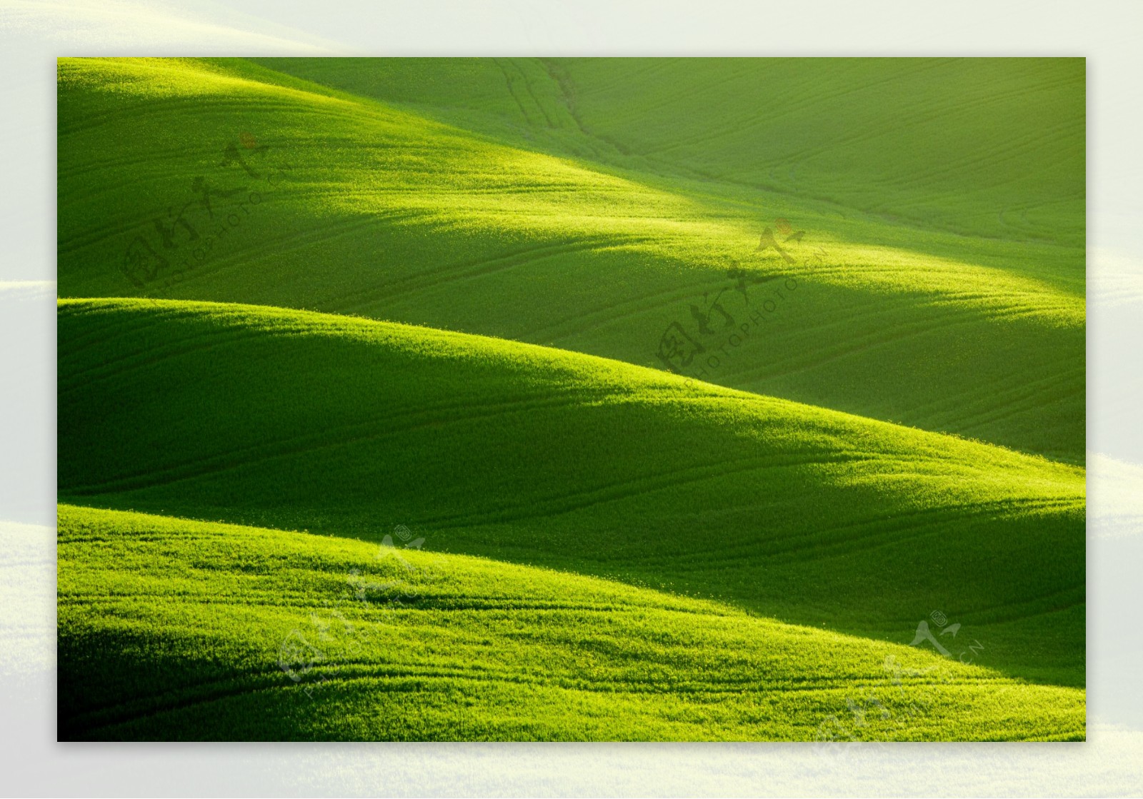 绿色山坡背景素材图片