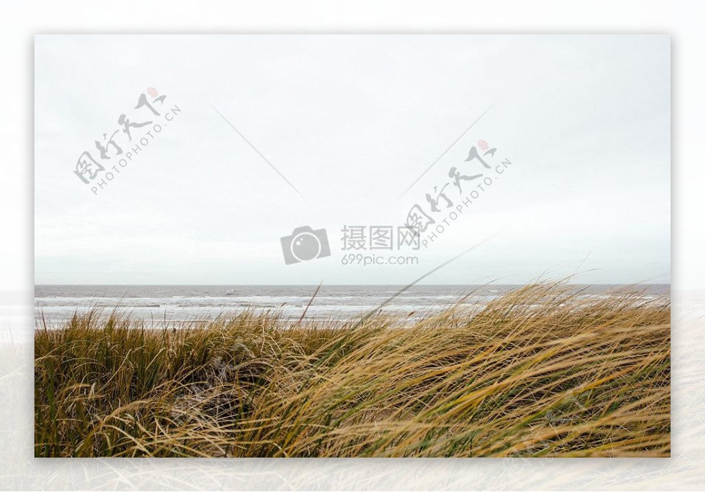 海自然天空海滩现场海洋海浪草海岸沙丘地平线