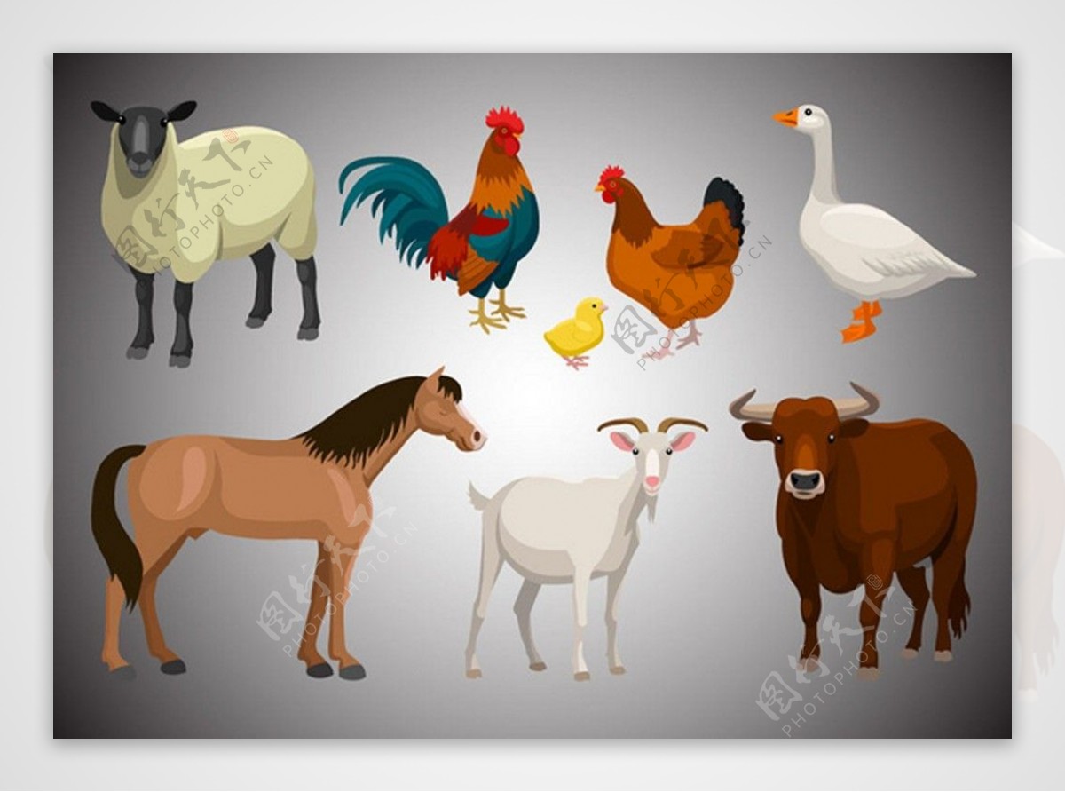 农场动物的矢量插图