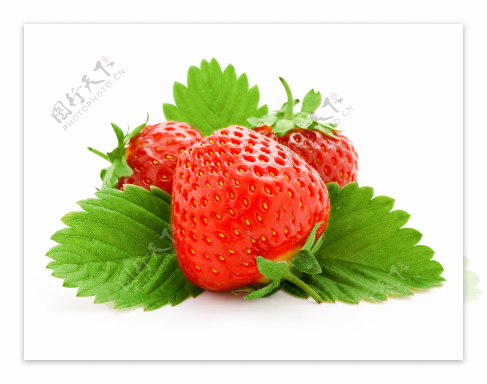 高清草莓摄影图片