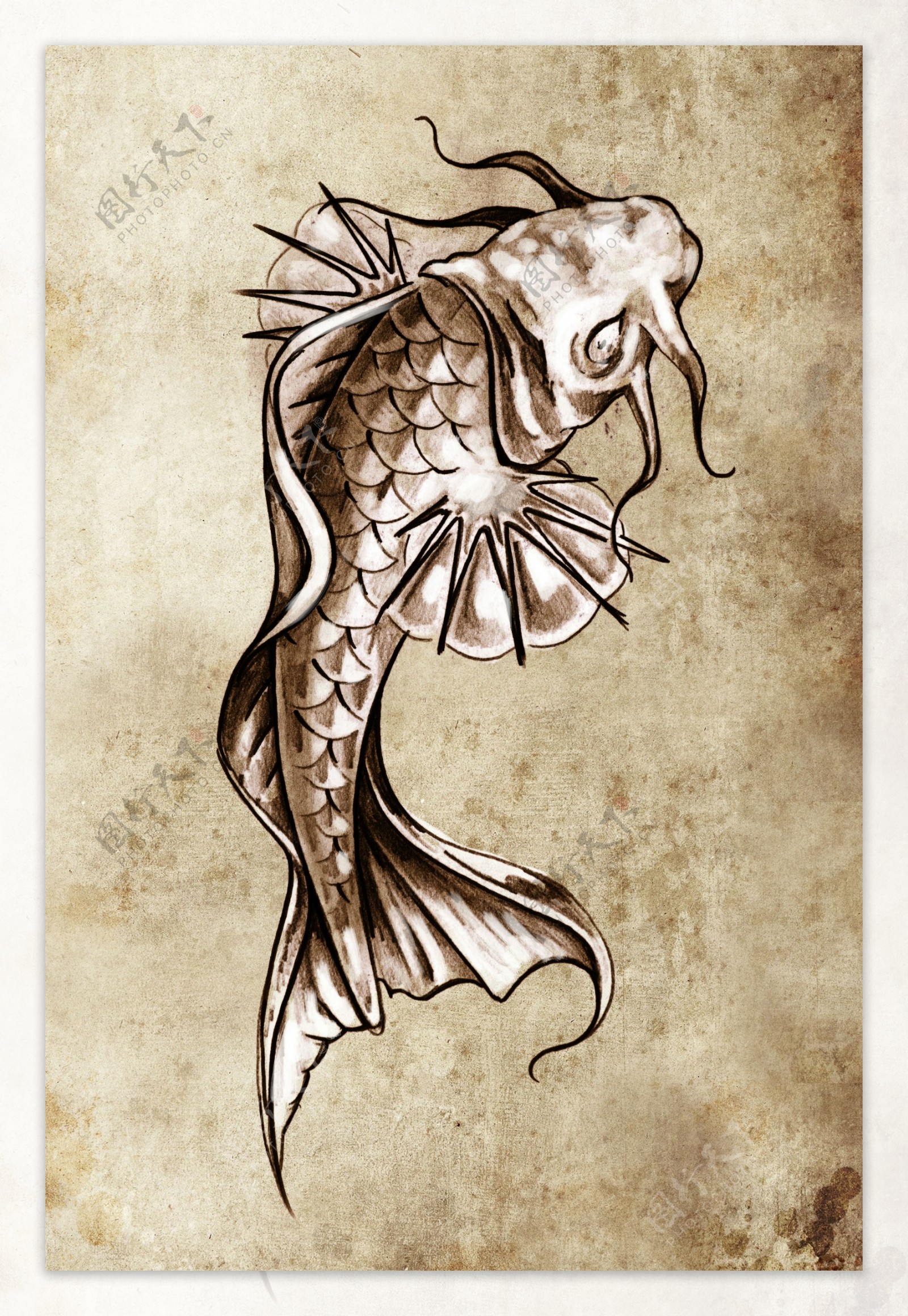 鱼形纹身图案图片