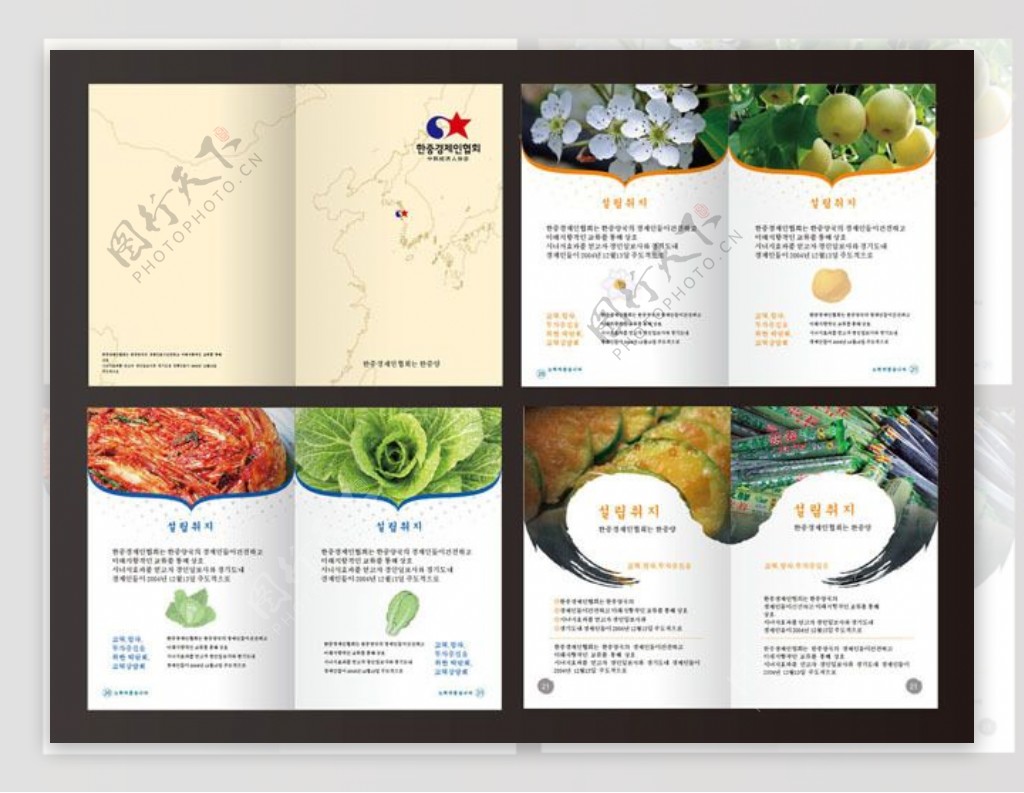 韩国美食画册矢量素材
