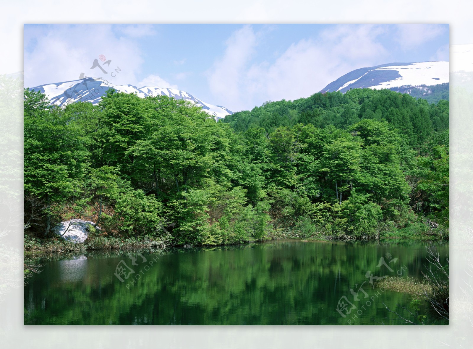 雪山树木湖泊美景图片