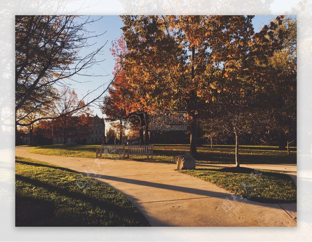 板凳性质树木草地公园秋天秋天胡同早晨太阳