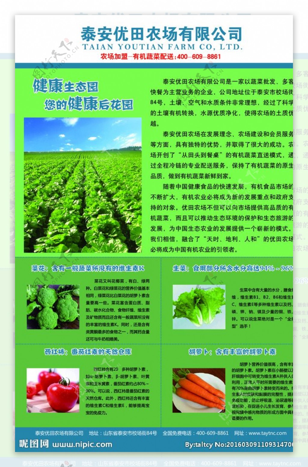 生态农场蔬菜介绍