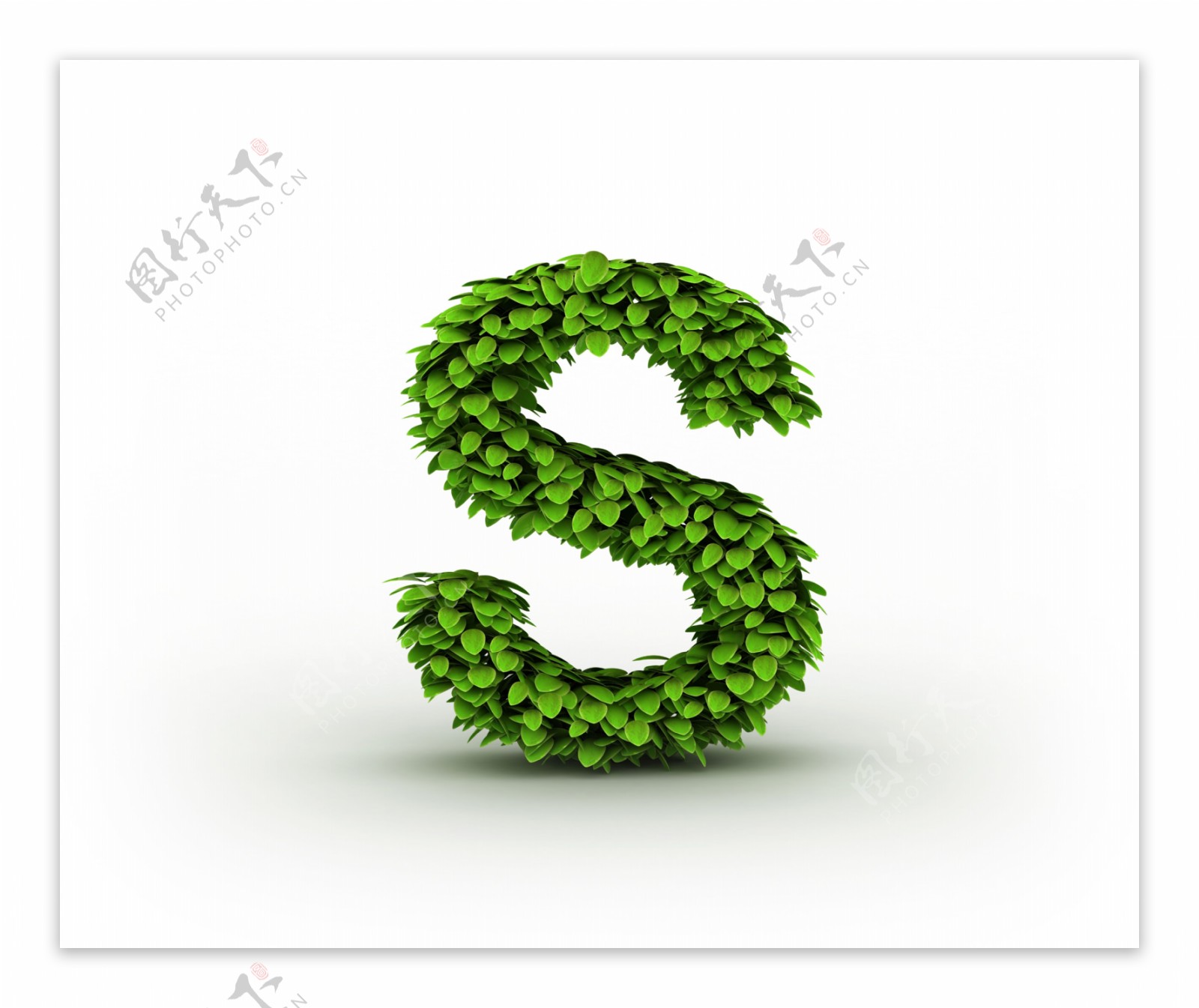 绿叶立体字母S