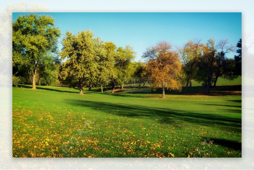 树草草坪公园叶叶秋秋天高尔夫内布拉斯加州奥马哈