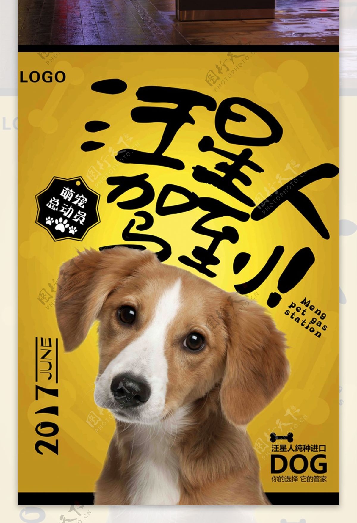 萌宠宠物狗店宣传海报