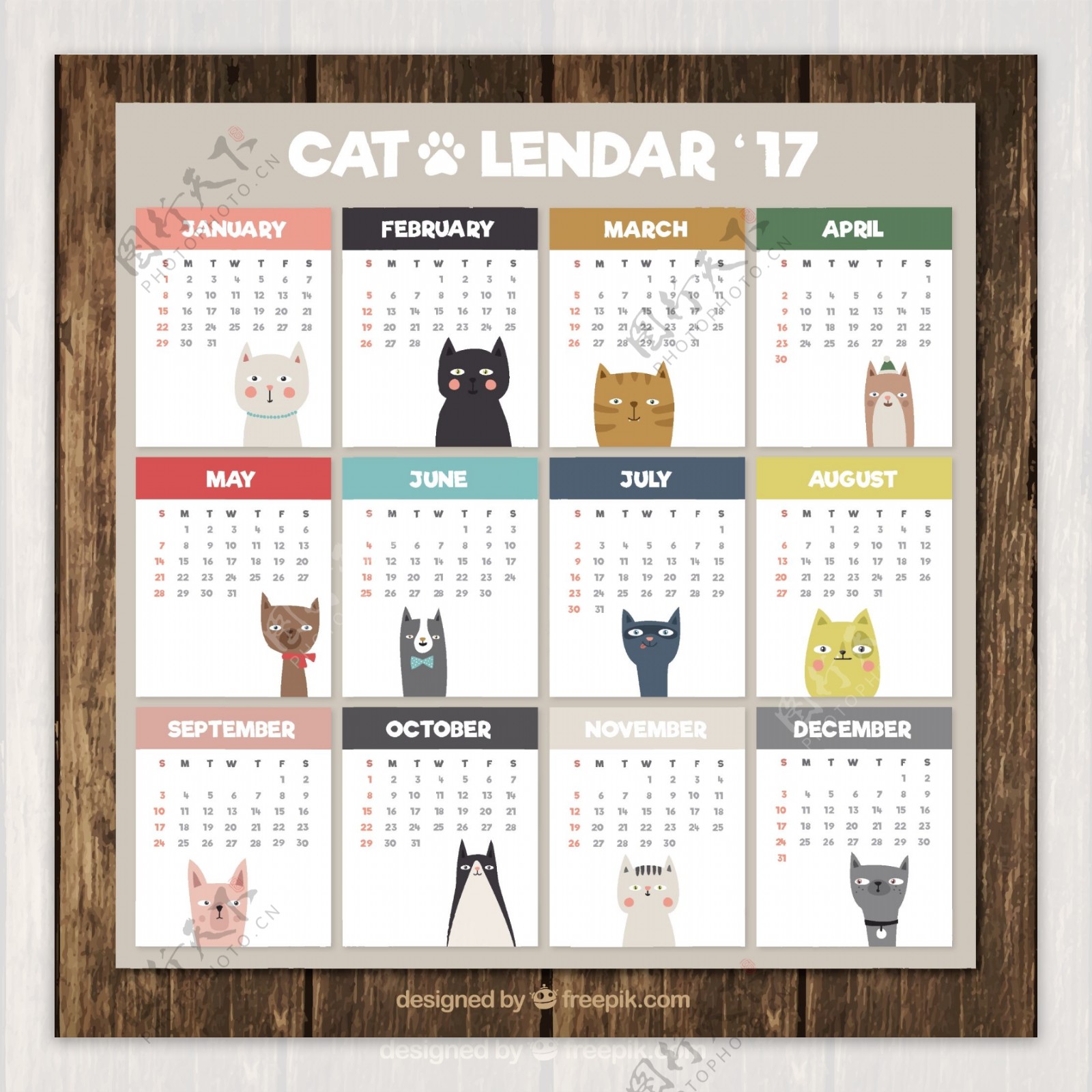 可爱的日历与不同的猫