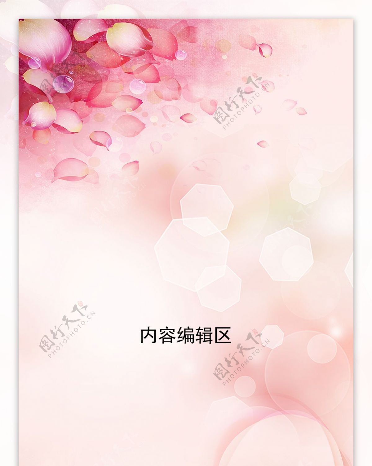 精美粉色花纹展架模板素材画面