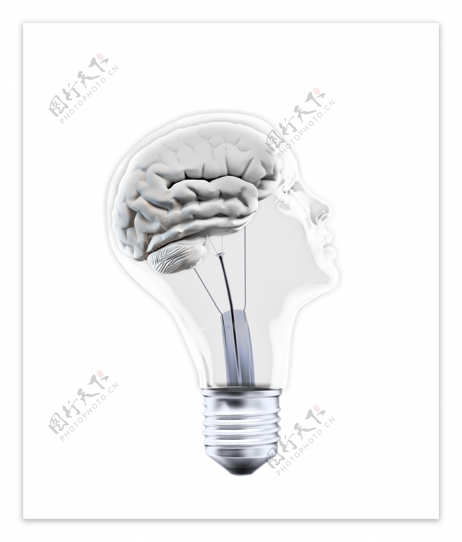 电灯泡大脑图片