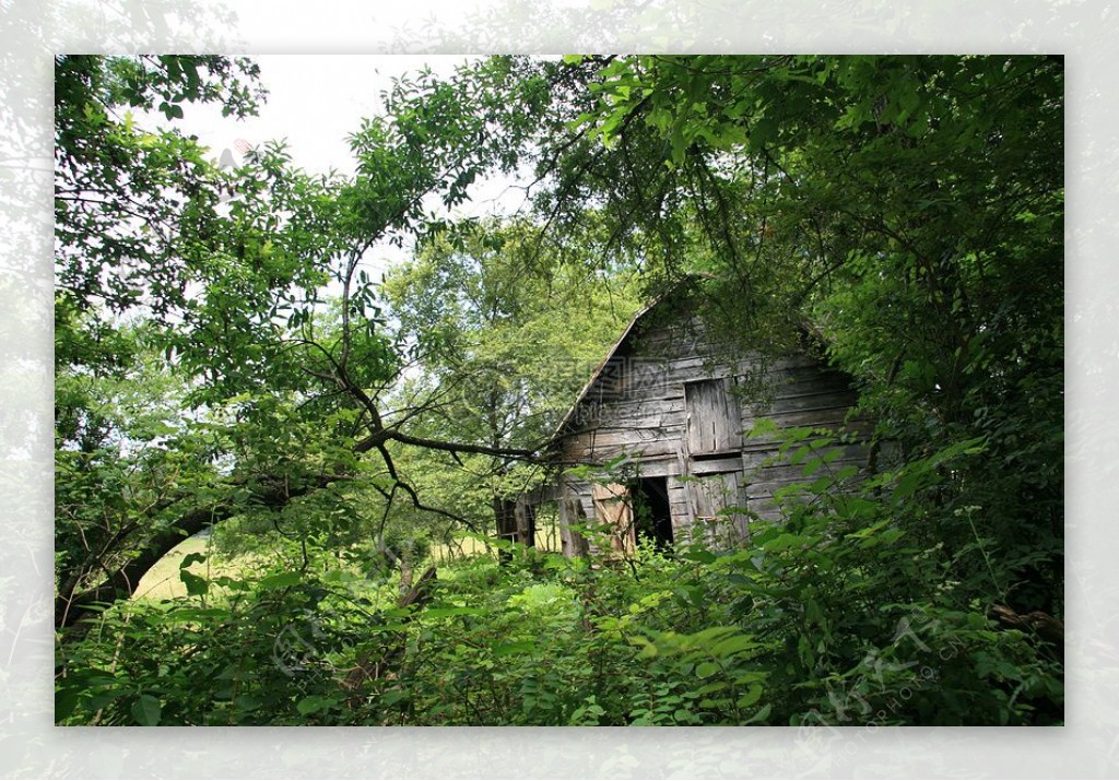 树林中的小木屋