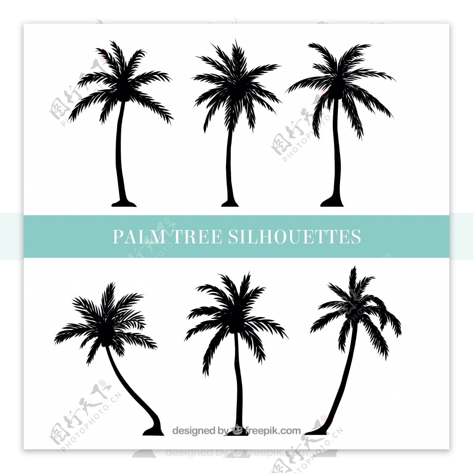 手绘剪影风格棕榈树插图