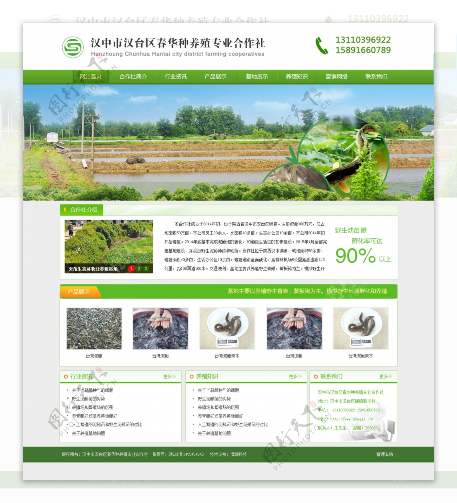 农业泥鳅养殖网站