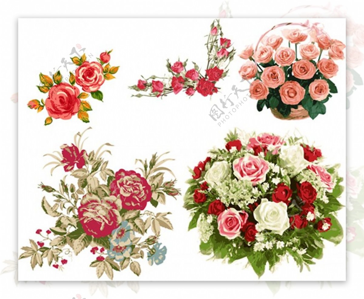 细腻彩绘玫瑰花束矢量素材