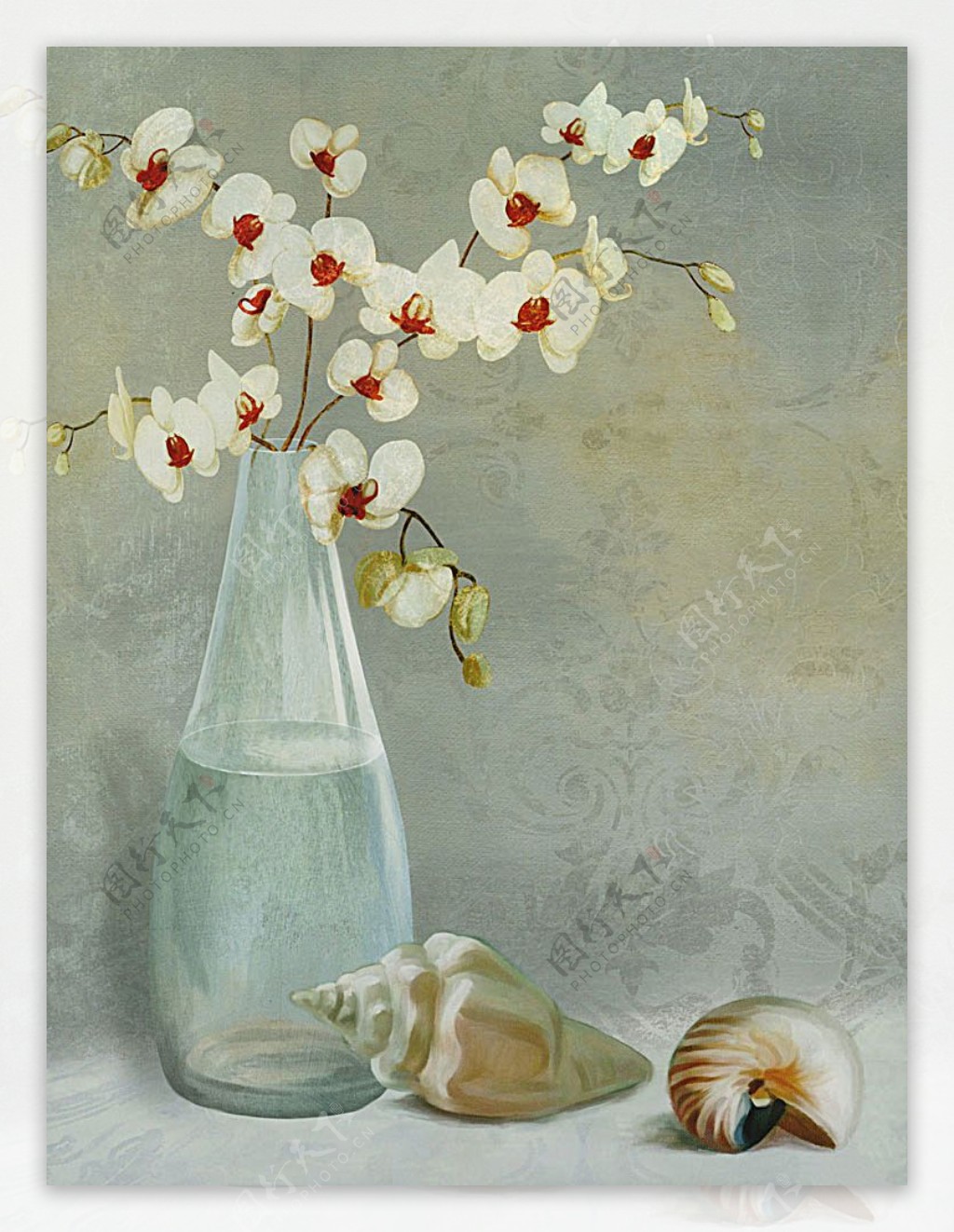 花瓶海螺装饰油画