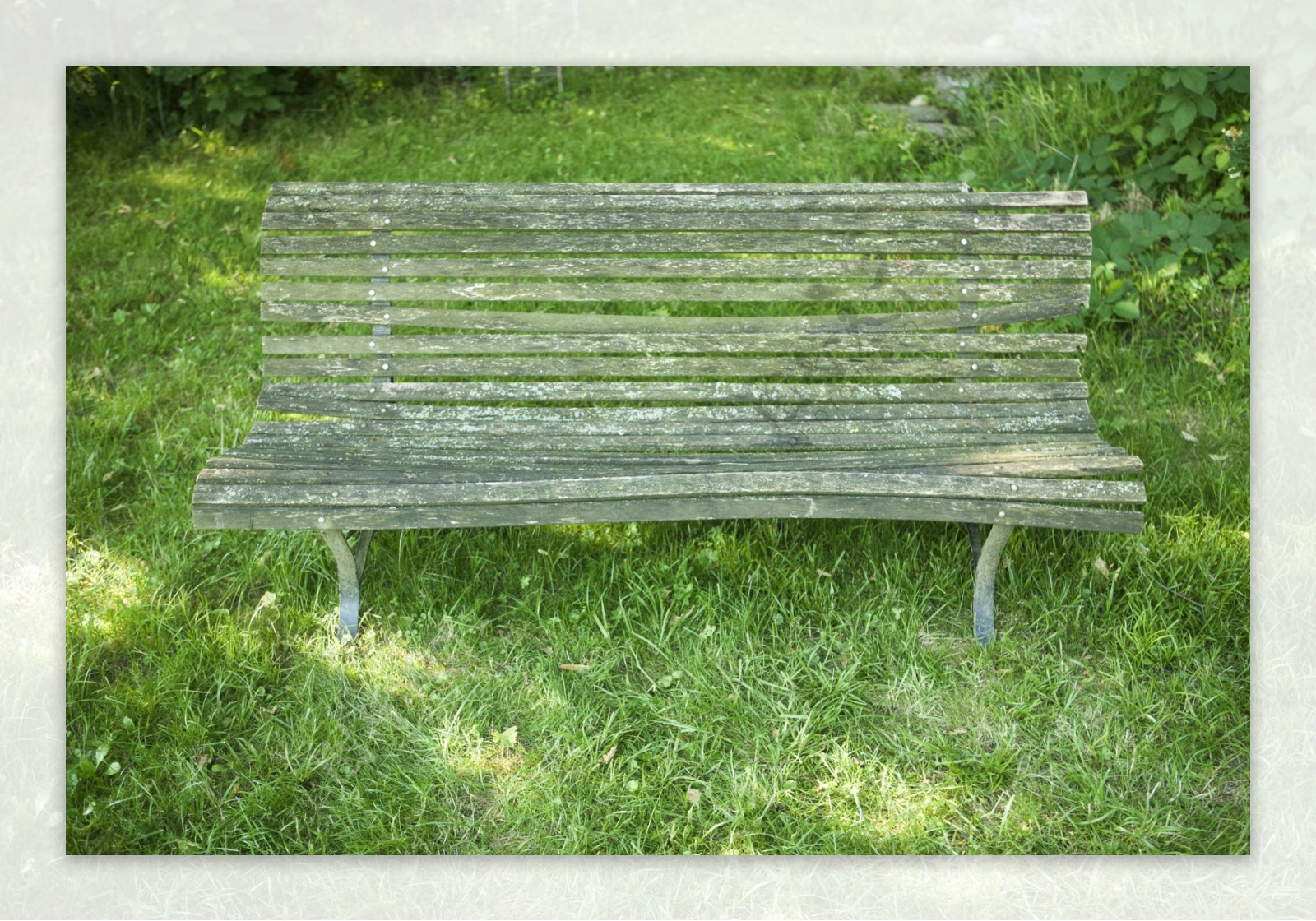 草地上的木长椅图片