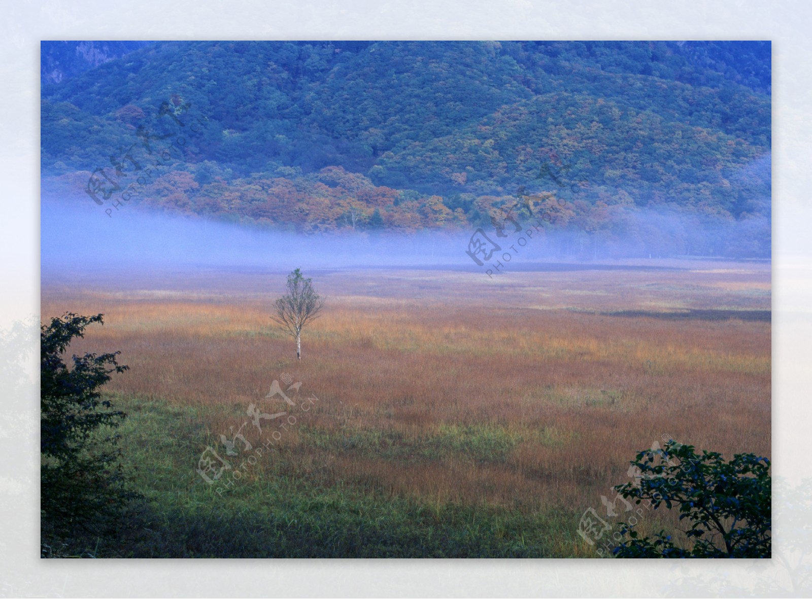 美丽高原风景图片