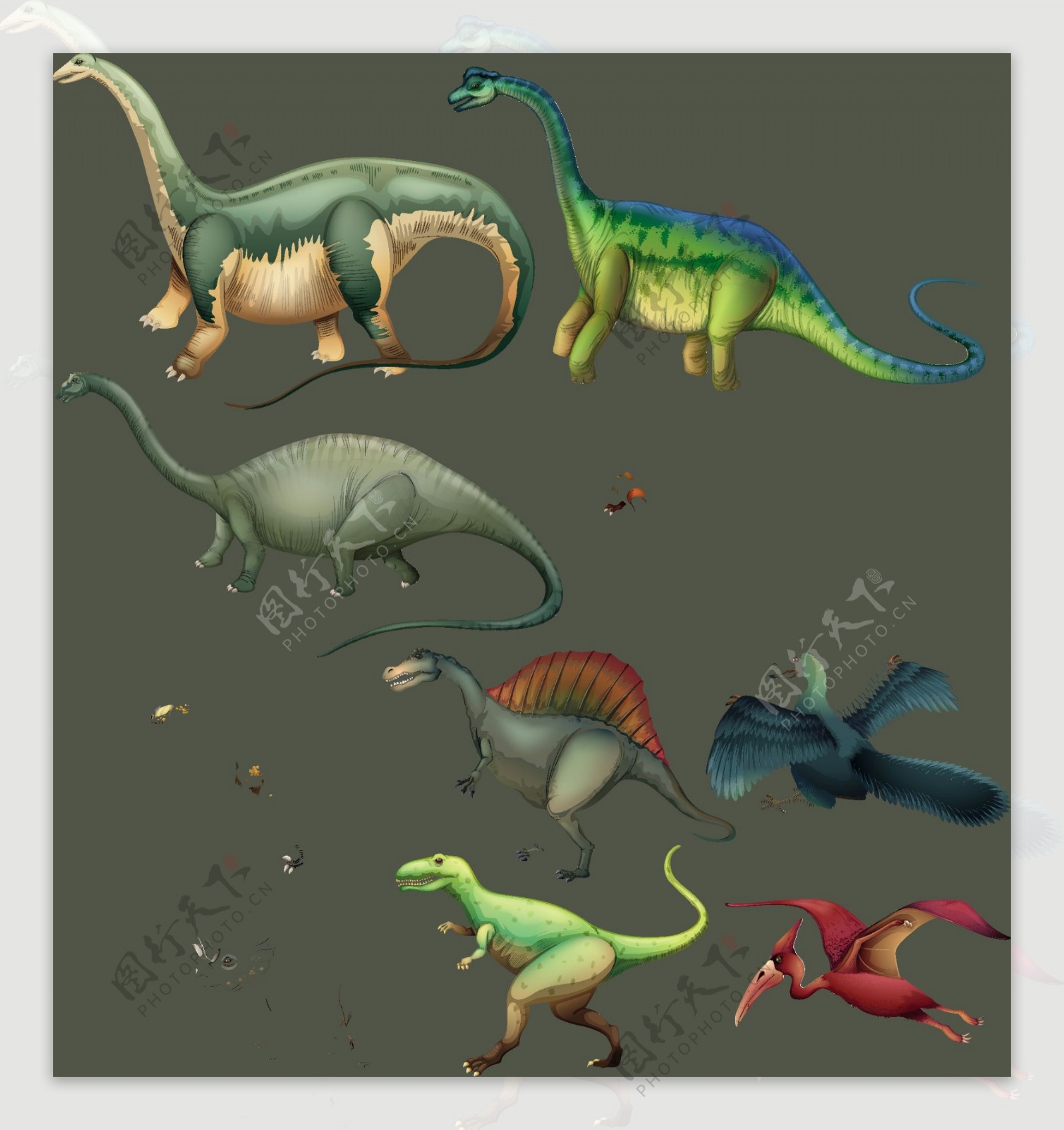 彩色恐龙收藏