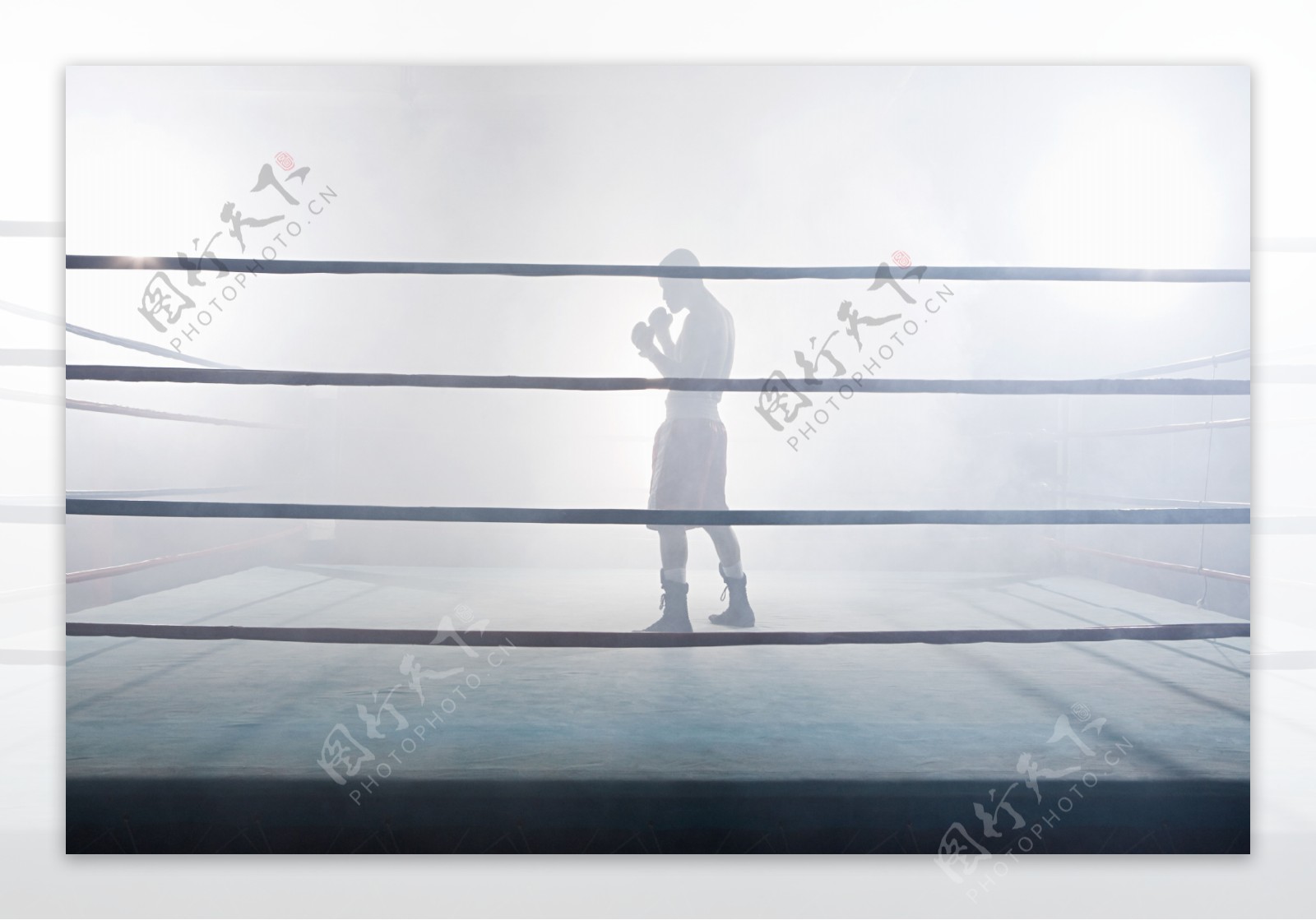 站在朦胧擂台上的拳击手图片图片