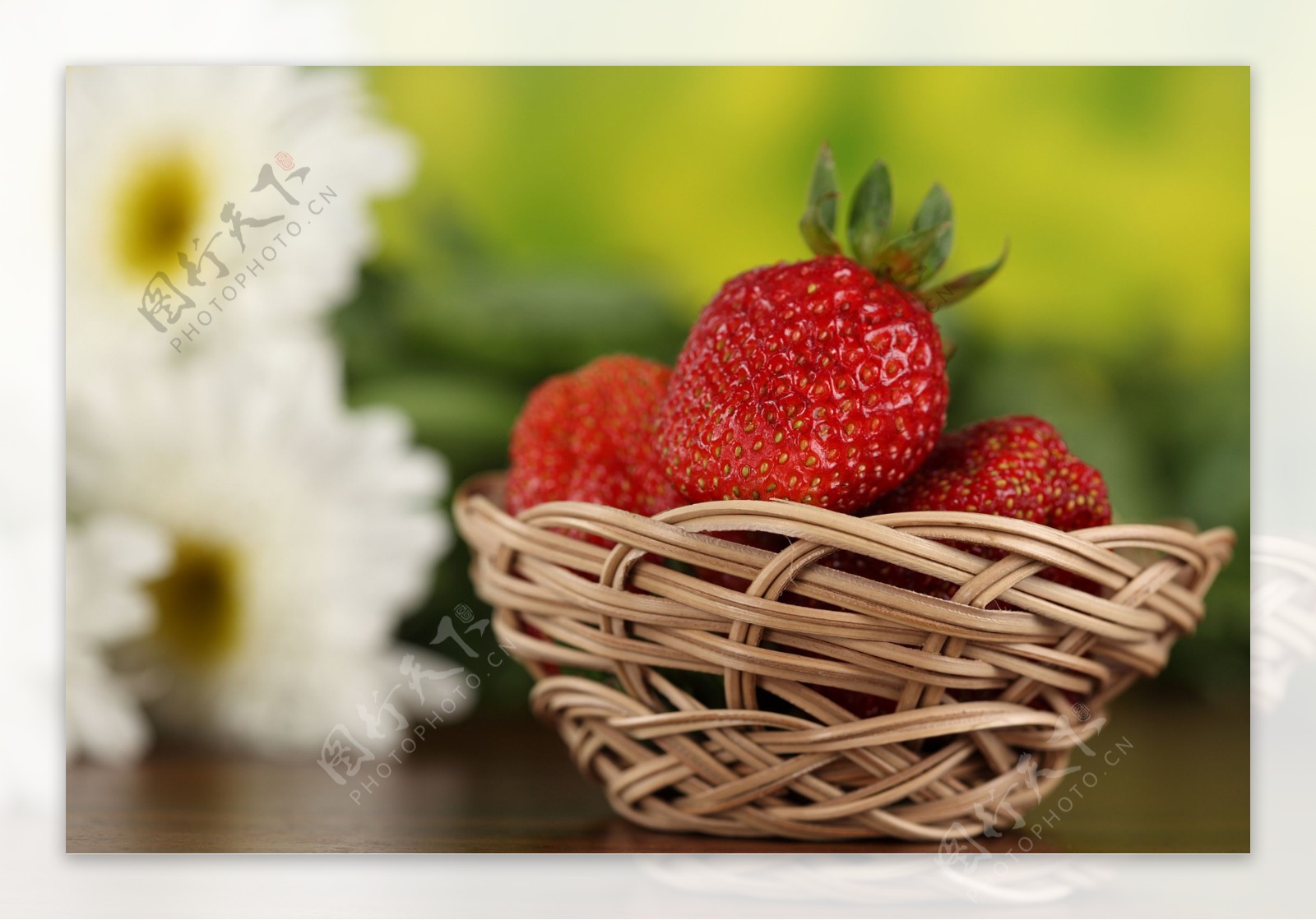 一萝框草莓和菊花图片