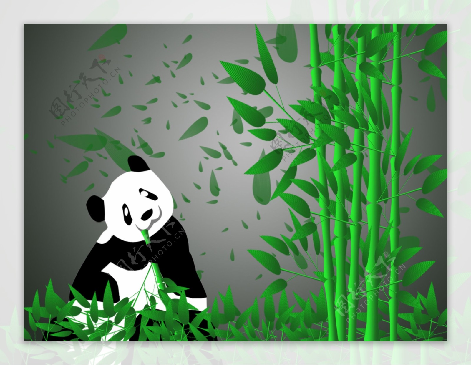 吃竹子熊猫摄影图高清摄影大图-千库网