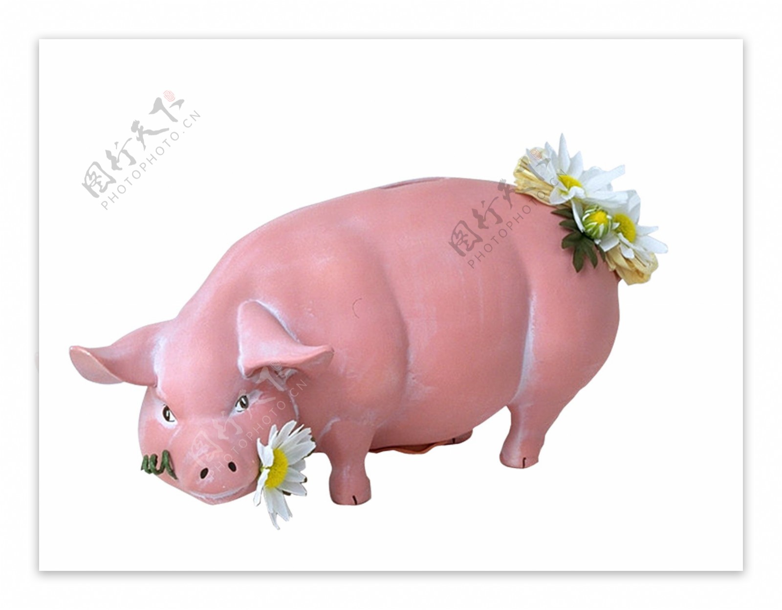 叼着花朵的小猪存钱罐图片