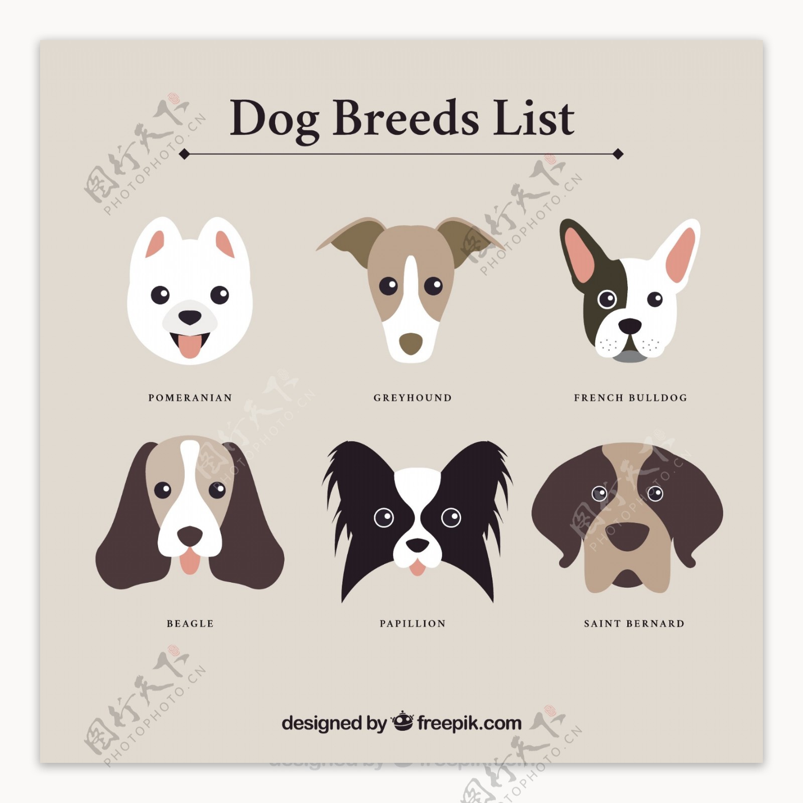 狗的品种名单