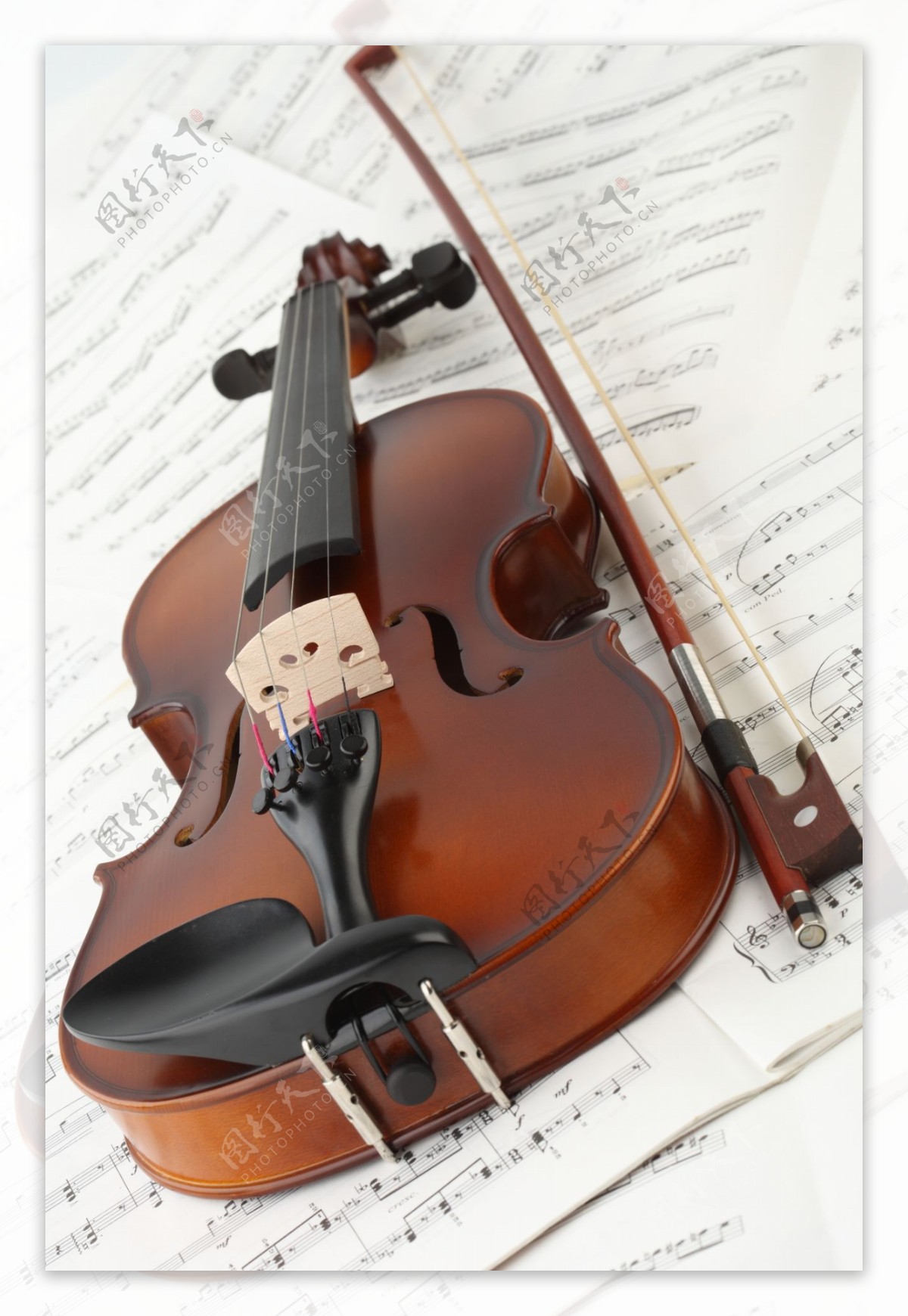 小提琴与音符图片