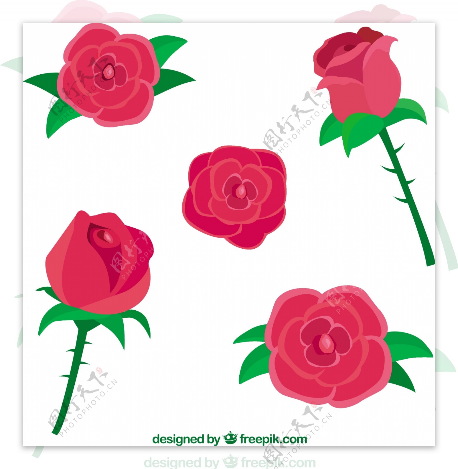 手绘漂亮的五朵玫瑰设计素材