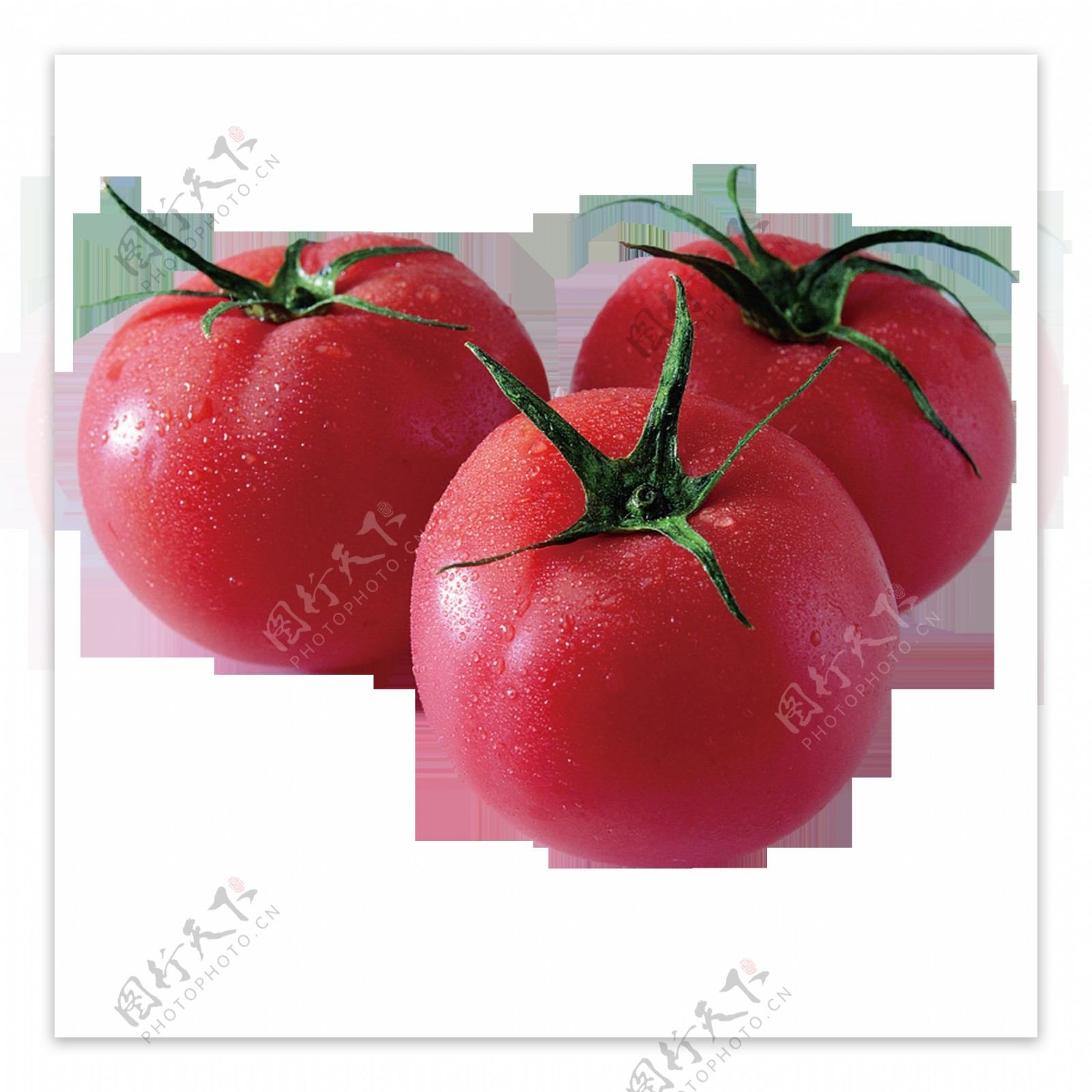 唯美高清西红柿素材