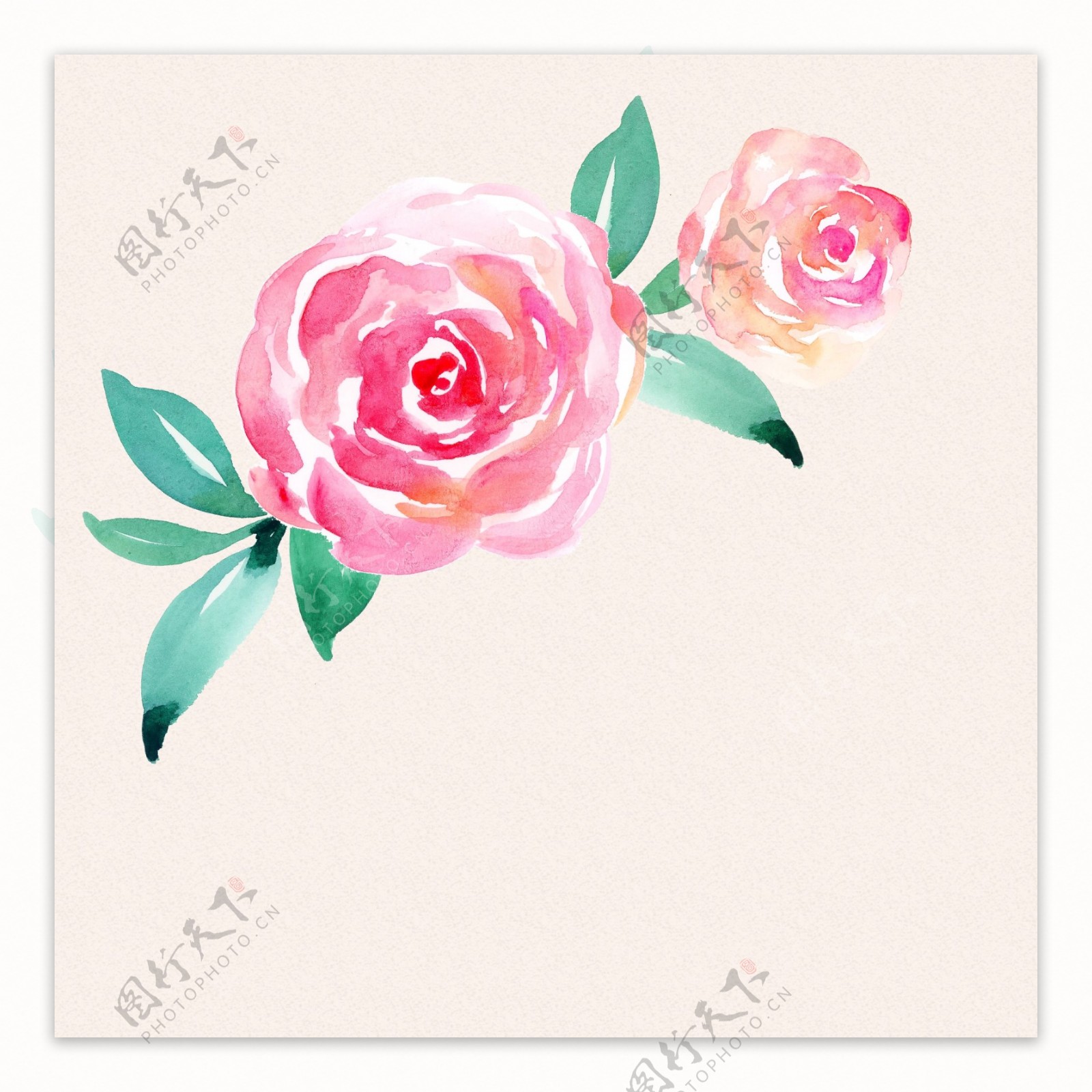 PSD分层手绘水彩花卉玫瑰牡丹