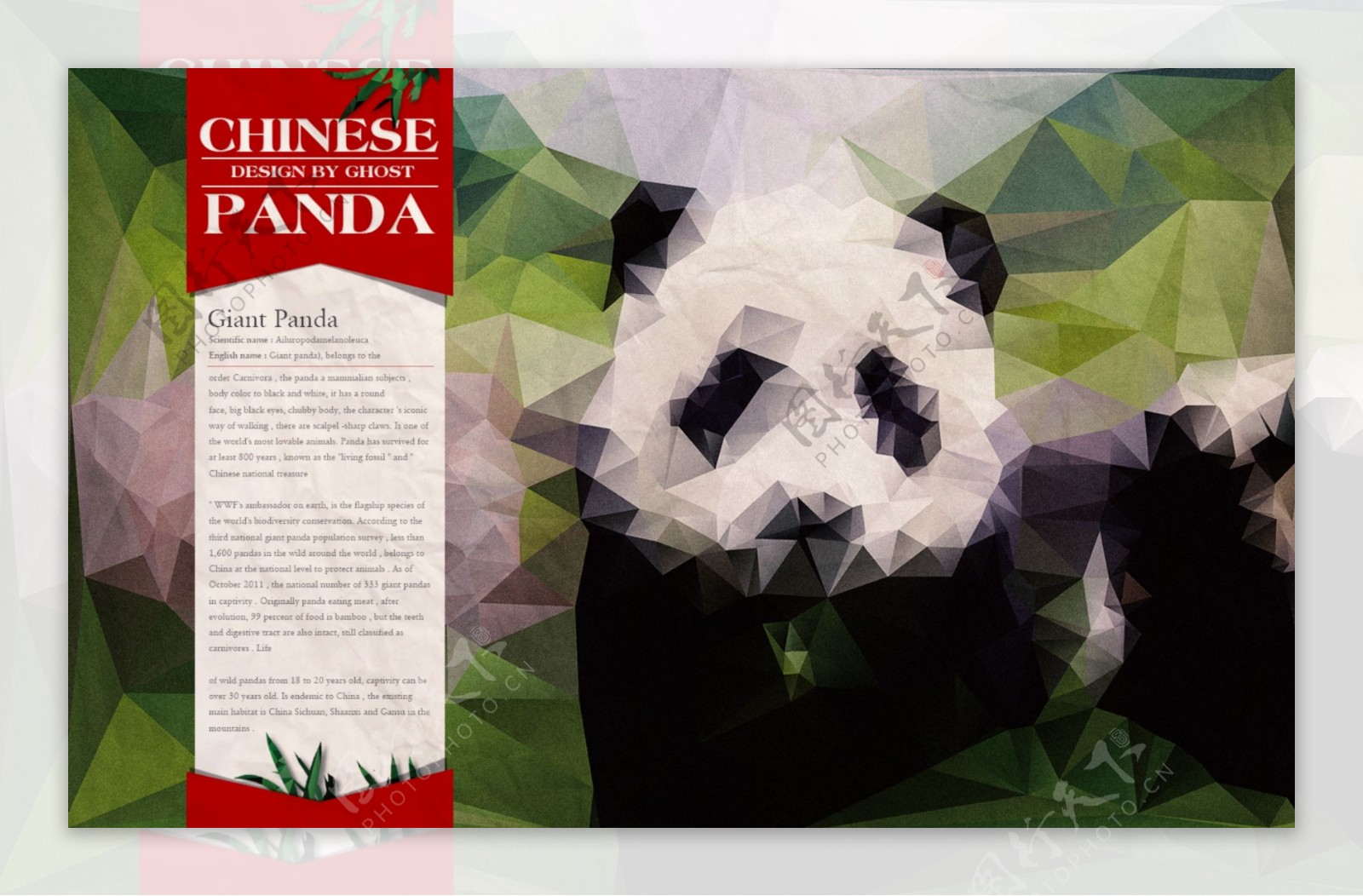 菱形熊猫元素背景PSD