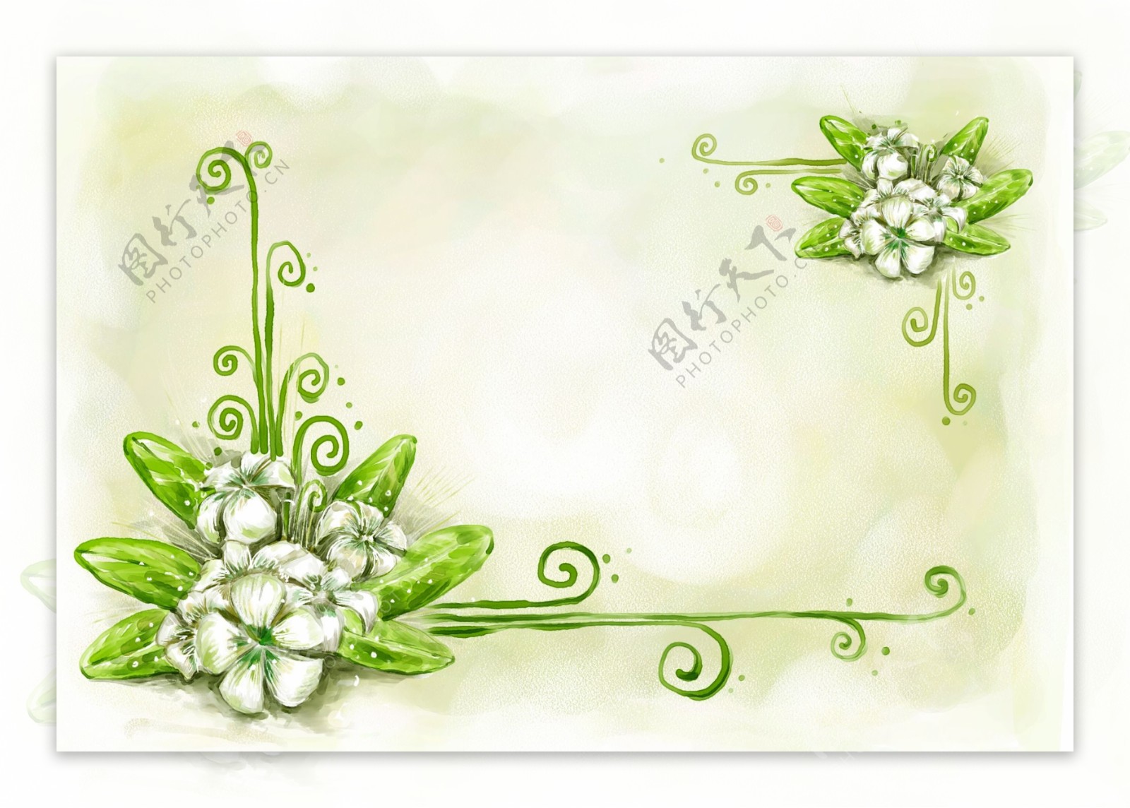 白色小花花束花边背景