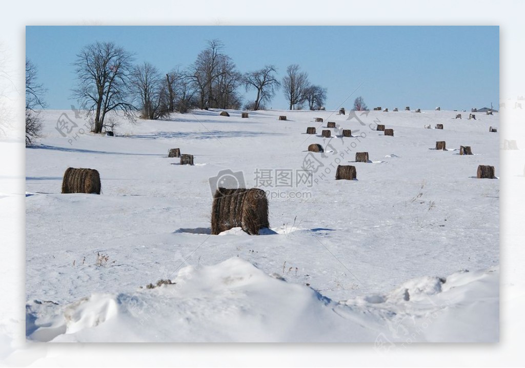 雪地上的干草垛