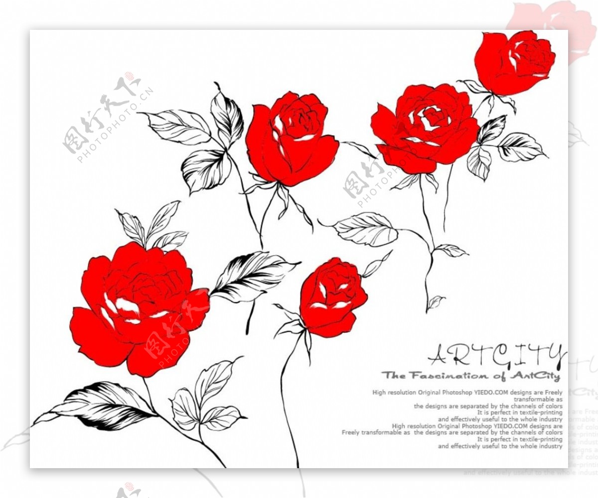 手绘玫瑰花图片素材-编号07873202-图行天下