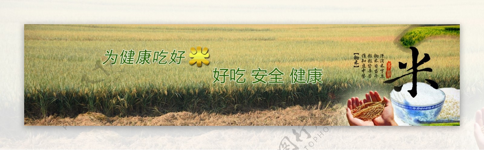 种植业水稻大米全屏展示图