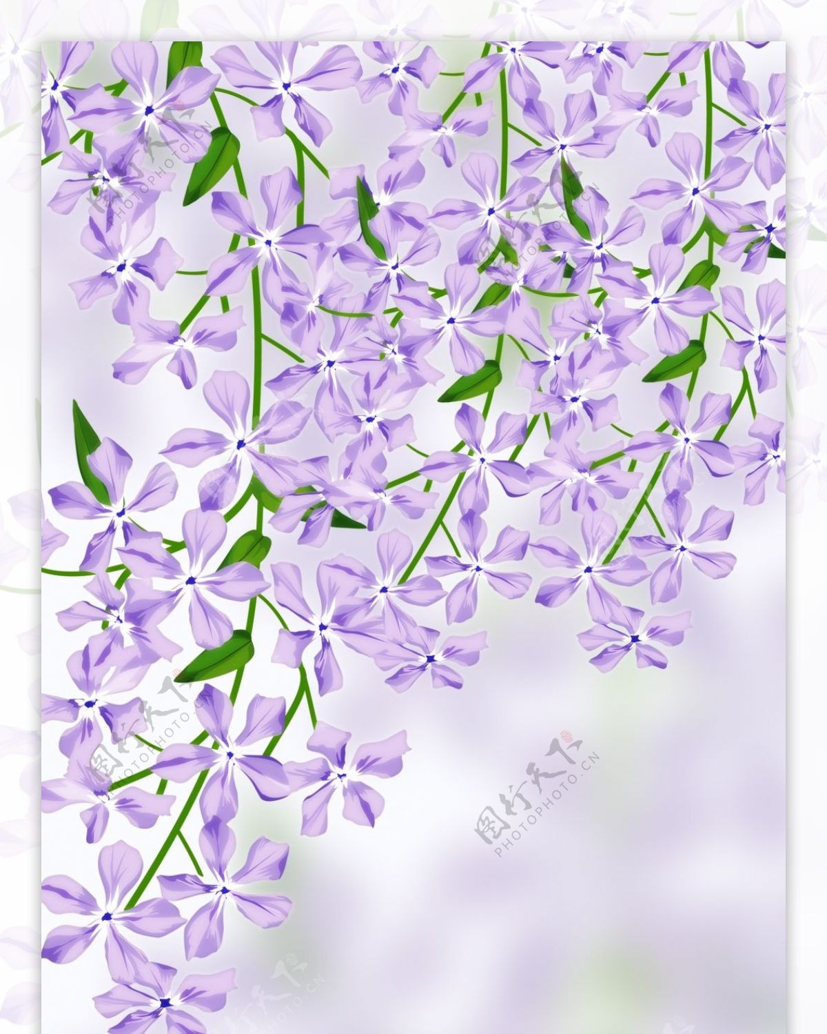 精美紫色花儿背景展架设计模板素材画面