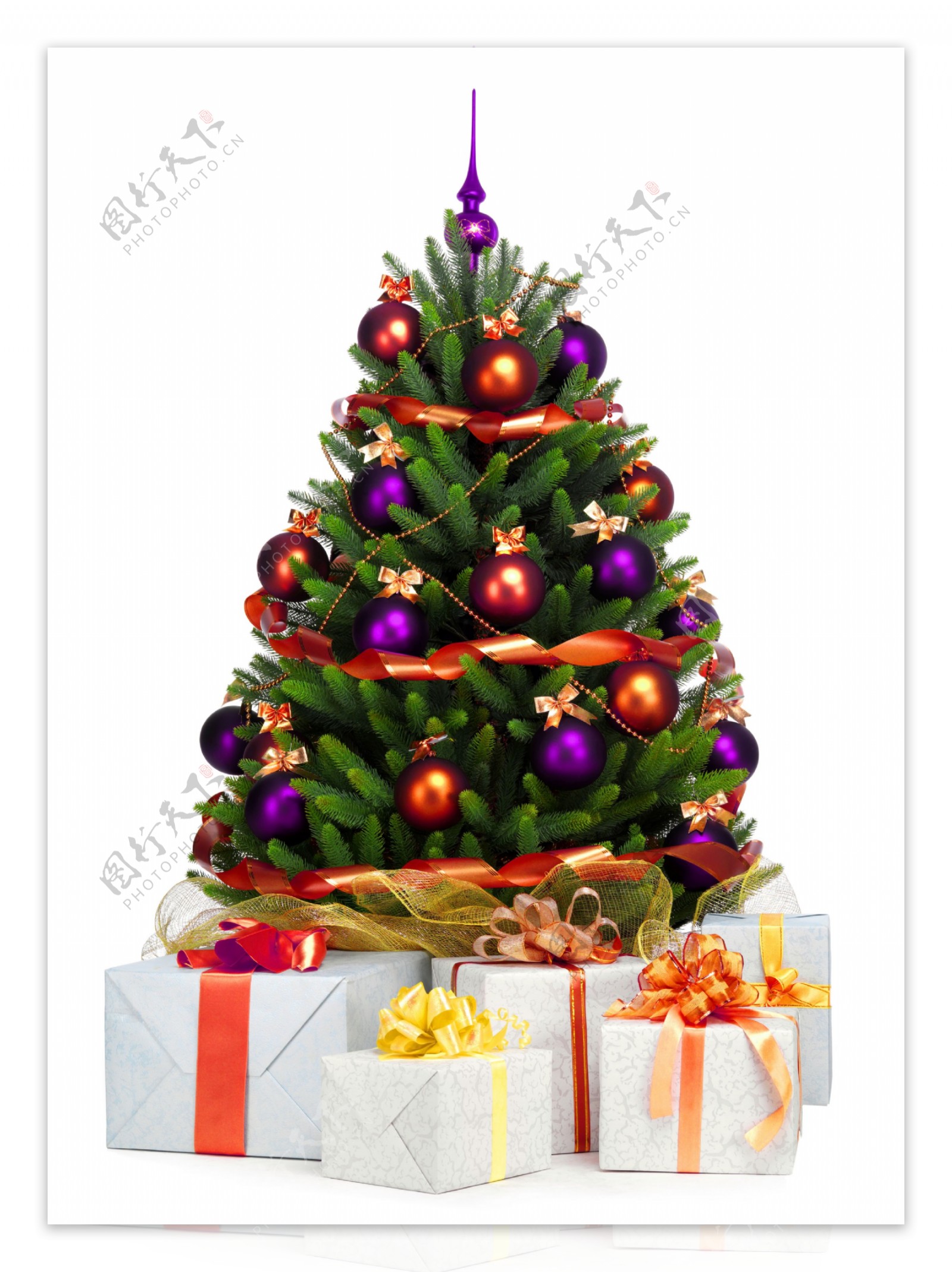 礼盒与圣诞树图片素材