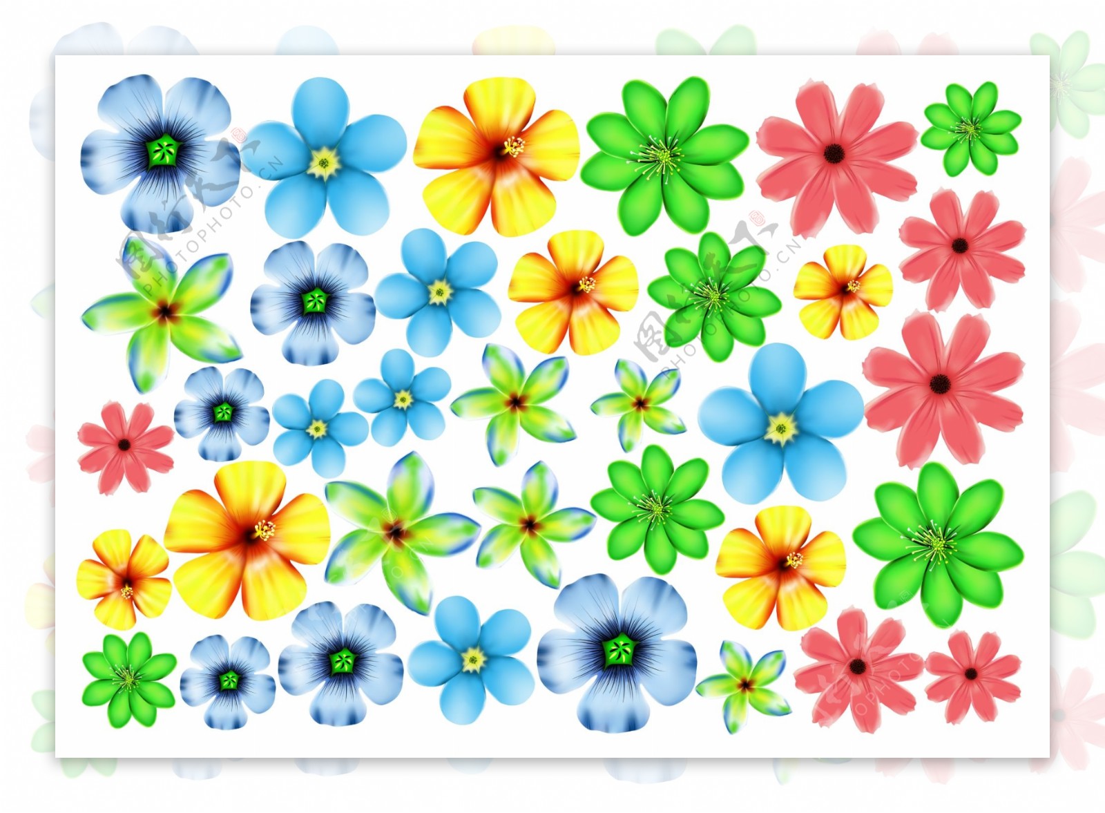 6种花朵插画装饰图案