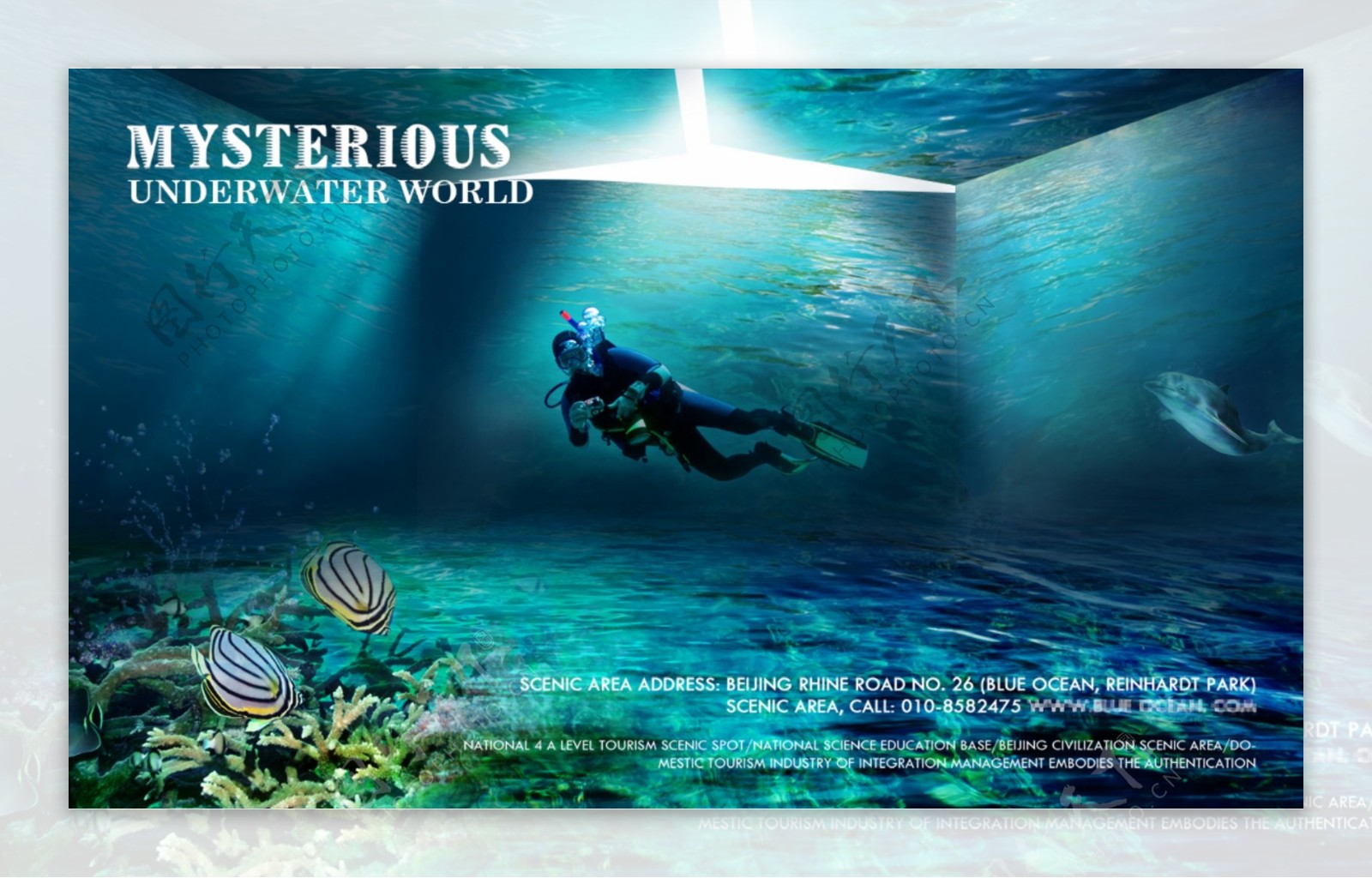 海底世界宣传海报