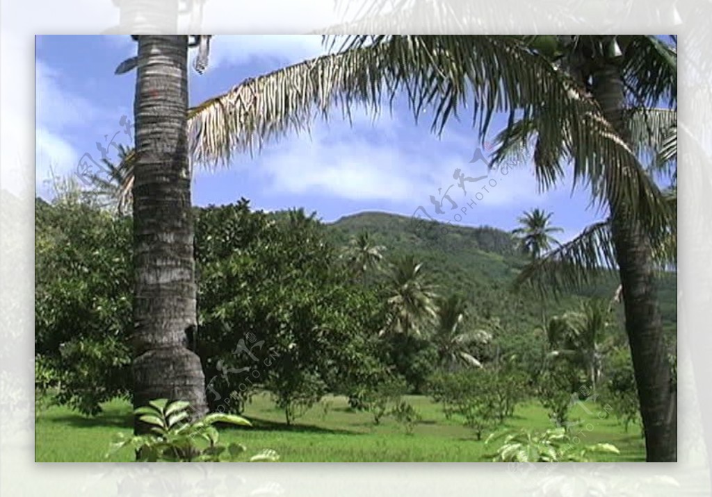 拉罗汤加岛股票视频场景视频免费下载