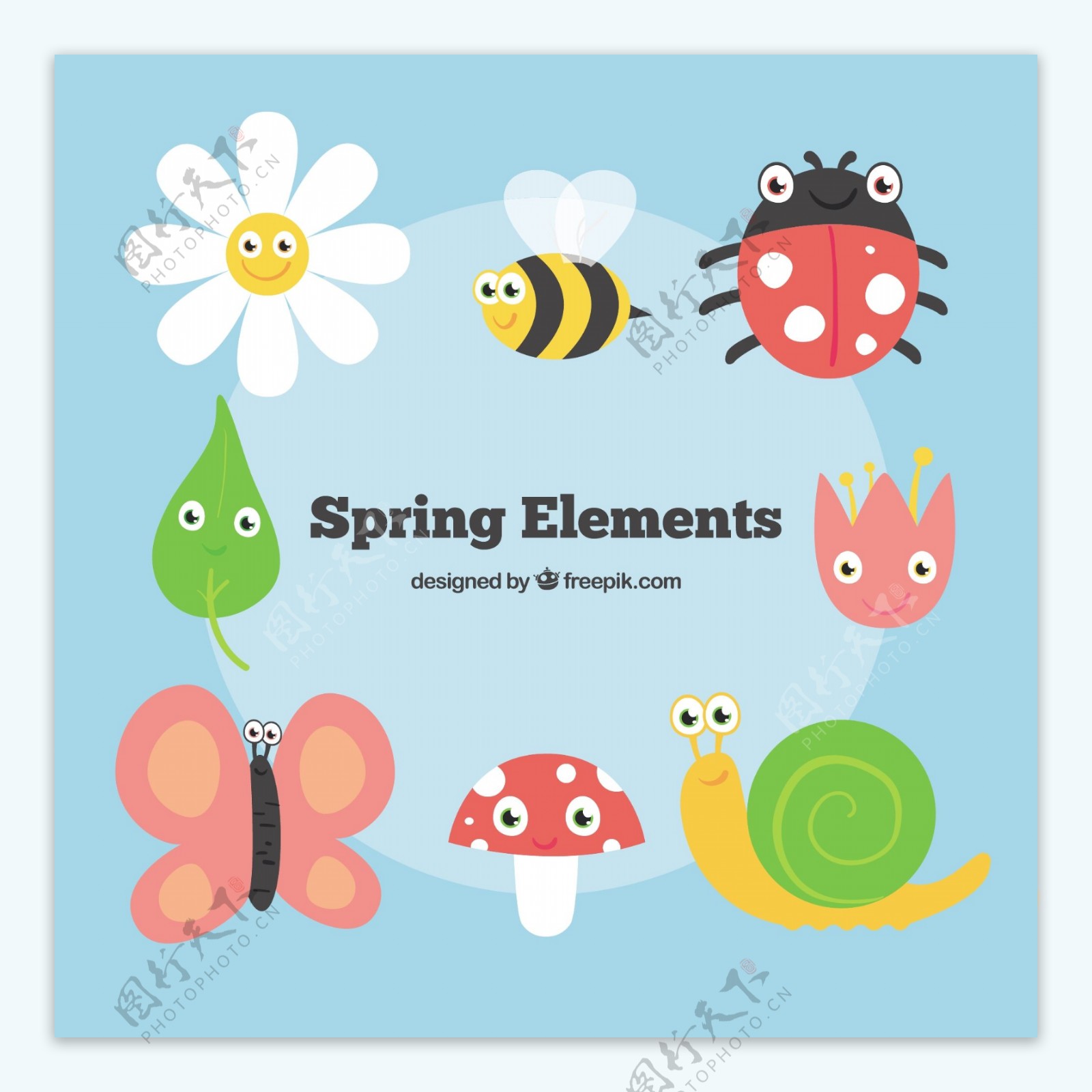 有趣的昆虫和花在春天的季节